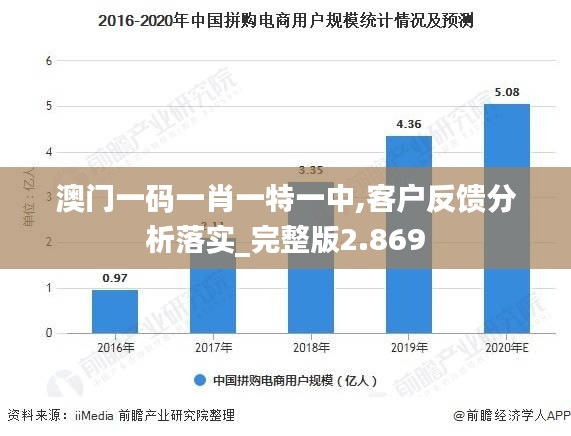 澳門一碼一肖一特一中,客戶反饋分析落實_完整版2.869