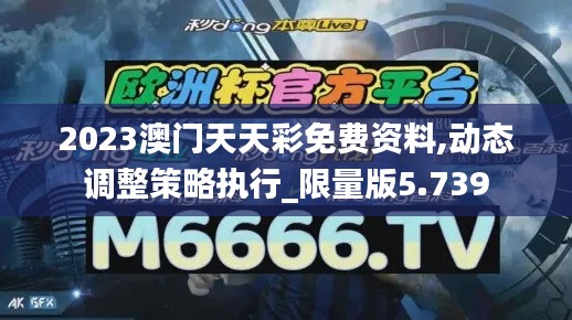 2023澳門天天彩免費(fèi)資料,動(dòng)態(tài)調(diào)整策略執(zhí)行_限量版5.739