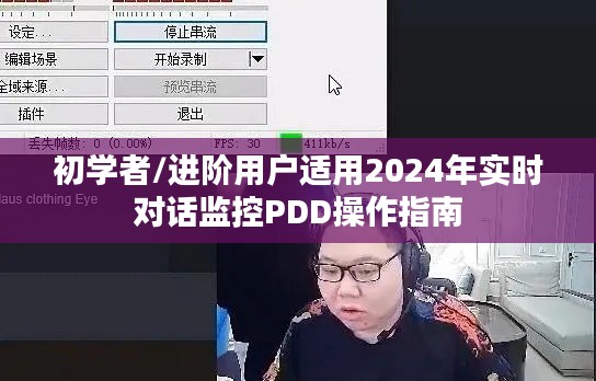 初學者與進階用戶適用的PDD操作指南，2024年實時對話監控實操指南