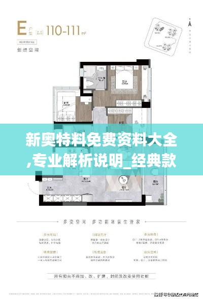 新奧特料免費資料大全,專業解析說明_經典款9.892