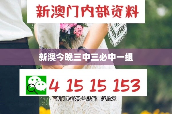 新澳今晚三中三必中一組