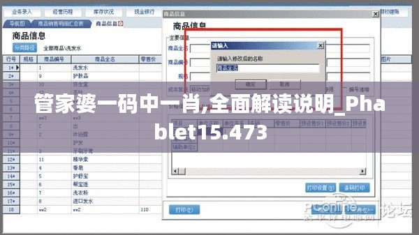 管家婆一碼中一肖,全面解讀說明_Phablet15.473