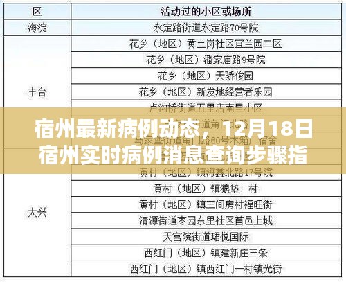 宿州最新病例動態(tài)及實時查詢指南，12月18日最新消息