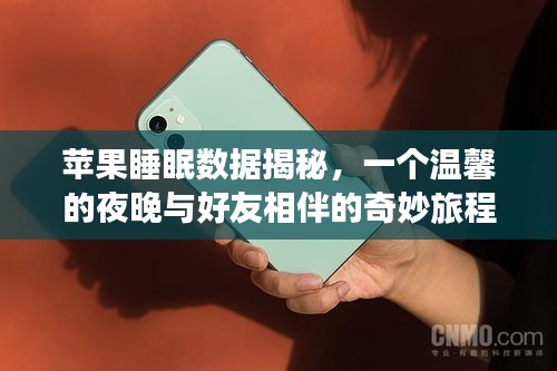蘋果睡眠數據揭秘，與好友相伴的溫馨夜晚奇妙旅程