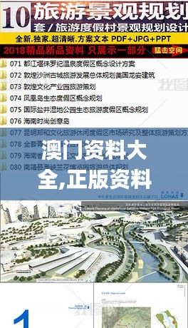 澳門資料大全,正版資料查詢,未來規劃解析說明_精英版5.841