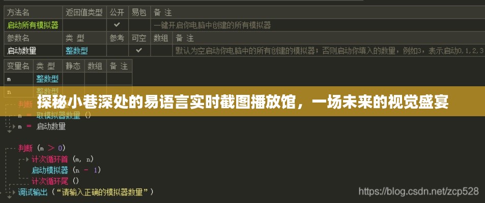 未來視覺盛宴，探秘小巷深處的易語言實時截圖播放館