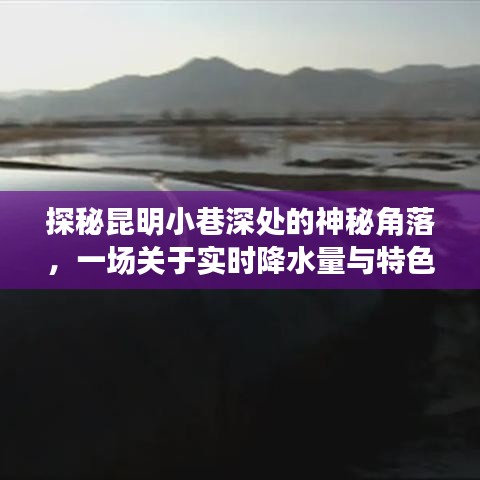 昆明小巷深處的神秘角落，實時降水量與特色小店的奇妙探秘之旅