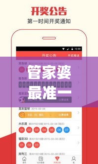 管家婆最準(zhǔn)一碼一肖,問(wèn)題總結(jié)執(zhí)行方案_挑戰(zhàn)款9.108