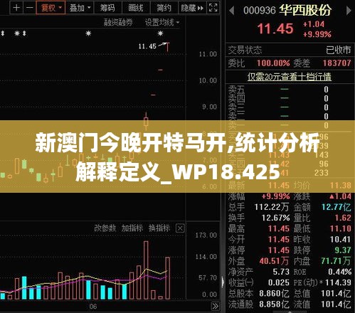 新澳門今晚開特馬開,統(tǒng)計分析解釋定義_WP18.425