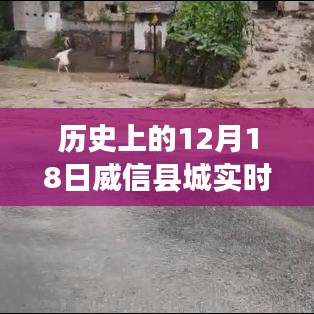 12月18日威信縣城實時路況深度解析與介紹
