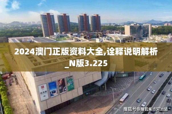 2024澳門正版資料大全,詮釋說明解析_N版3.225