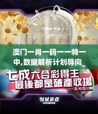 澳門一肖一碼一一特一中,數據解析計劃導向_基礎版7.365