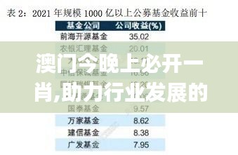 澳門今晚上必開一肖,助力行業發展的強大資源_Tizen18.597