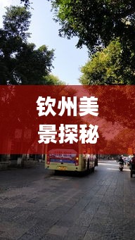 欽州美景探秘，公交車載我追尋歷史與寧靜的旅程，日期聚焦12月18日