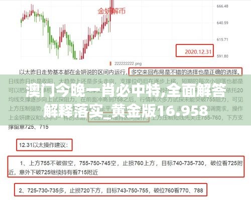 澳門今晚一肖必中特,全面解答解釋落實(shí)_黃金版16.958
