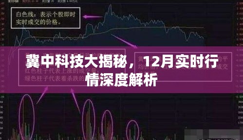 冀中科技深度解析，12月實(shí)時(shí)行情大揭秘