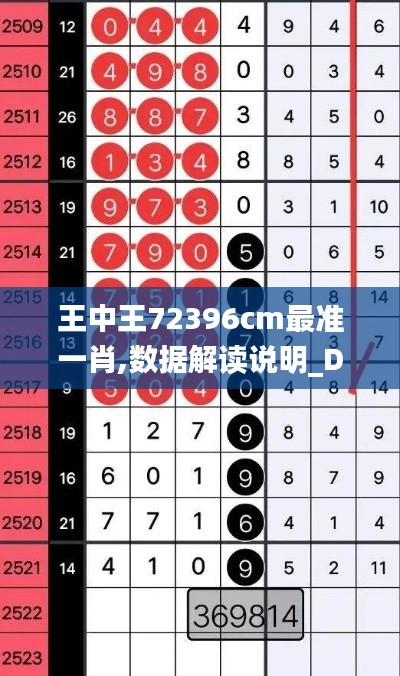 王中王72396cm最準一肖,數據解讀說明_DX版14.635
