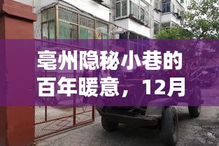 亳州隱秘小巷的百年暖意，邂逅特色小店與溫馨氣溫