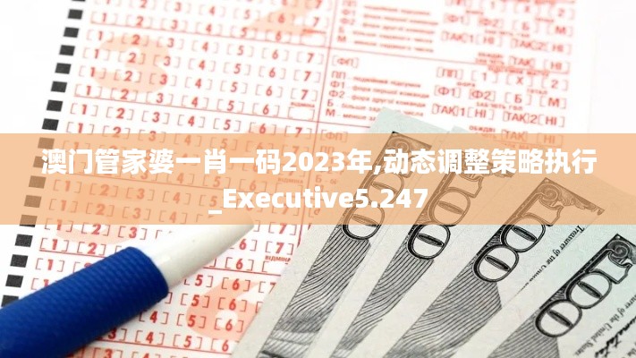 澳門管家婆一肖一碼2023年,動態調整策略執行_Executive5.247