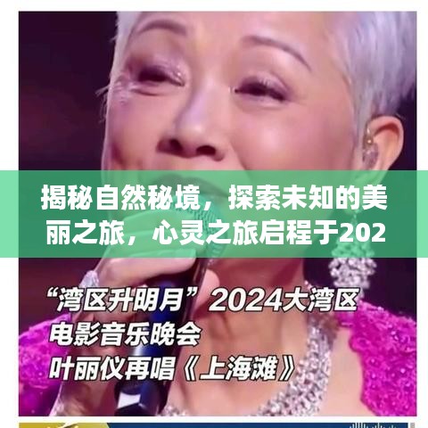 揭秘自然秘境，啟程心靈之旅，探索未知美麗之旅（新篇章2024年12月）