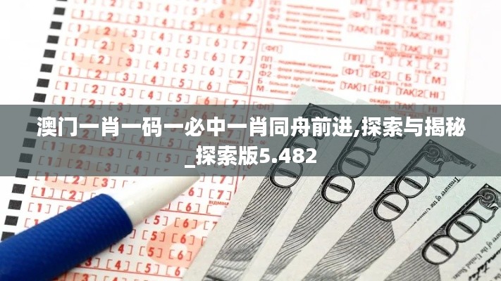 澳門一肖一碼一必中一肖同舟前進,探索與揭秘_探索版5.482