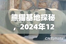 熊貓基地探秘深度解析，實(shí)時(shí)排隊(duì)直播體驗(yàn)分享，2024年12月18日