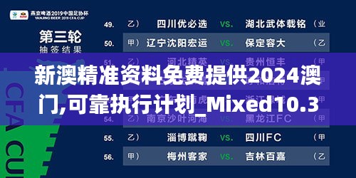 新澳精準資料免費提供2024澳門,可靠執(zhí)行計劃_Mixed10.359