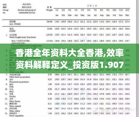 香港全年資料大全香港,效率資料解釋定義_投資版1.907