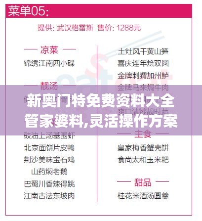 新奧門特免費資料大全管家婆料,靈活操作方案設計_挑戰款10.539