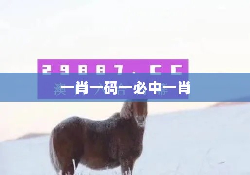 一肖一碼一必中一肖