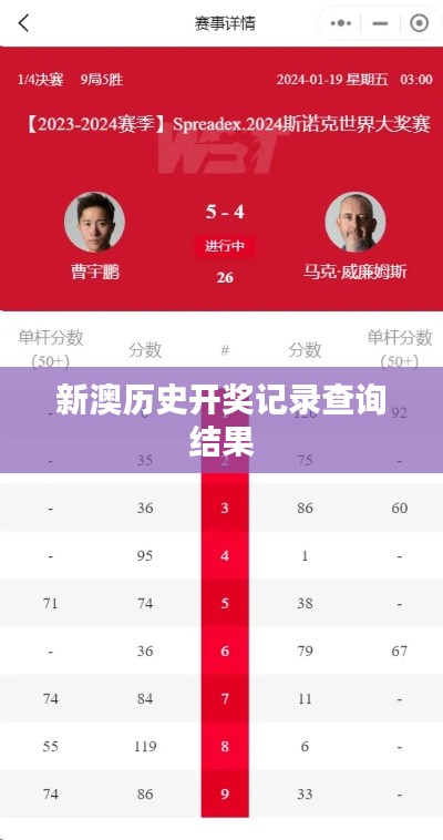 新澳歷史開獎記錄查詢結果