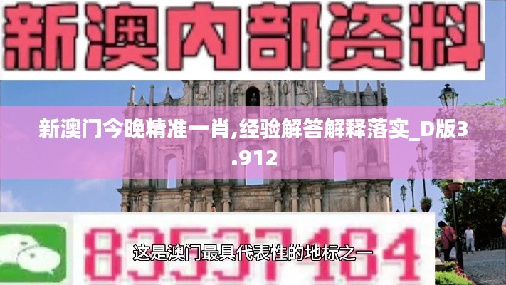 新澳門今晚精準一肖,經驗解答解釋落實_D版3.912