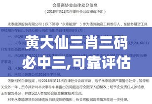 黃大仙三肖三碼必中三,可靠評估說明_超值版19.378