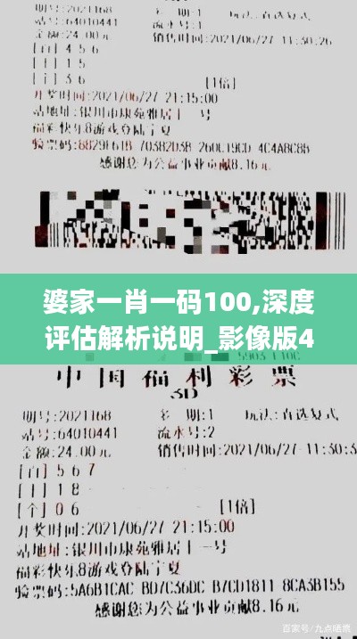 婆家一肖一碼100,深度評(píng)估解析說明_影像版4.168