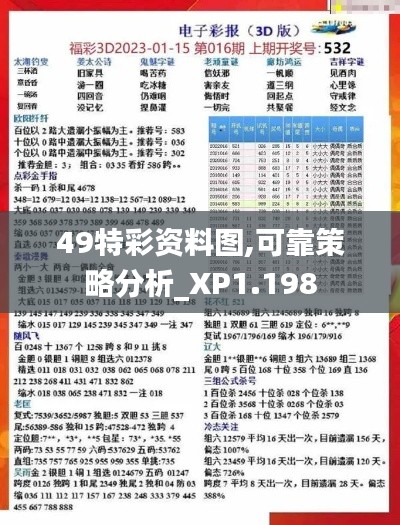49特彩資料圖,可靠策略分析_XP1.198