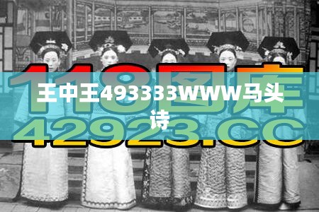 王中王493333WWW馬頭詩