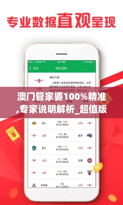 澳門管家婆100%精準,專家說明解析_超值版5.905