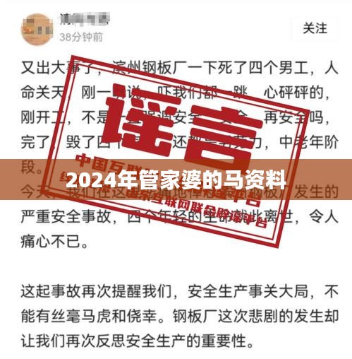 2024年管家婆的馬資料