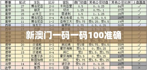 新澳門一碼一碼100準(zhǔn)確