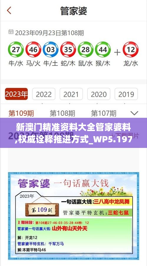 新澳門精準資料大全管家婆料,權威詮釋推進方式_WP5.197
