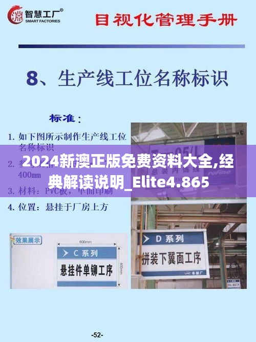 2024新澳正版免費資料大全,經(jīng)典解讀說明_Elite4.865