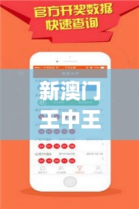 新澳門王中王100%期期中,模型解答解釋落實_復古版10.308