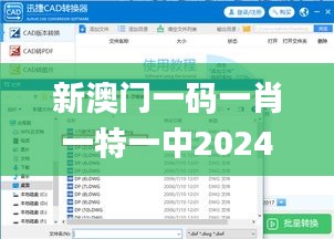 新澳門一碼一肖一特一中2024高考,迅捷解答策略解析_FHD3.945