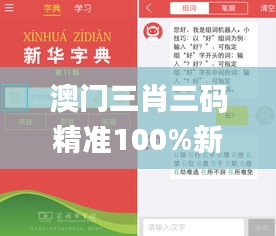 澳門三肖三碼精準100%新華字典,權威評估解析_豪華版6.187