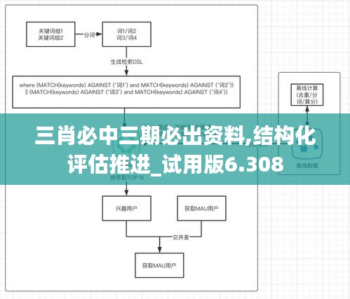三肖必中三期必出資料,結構化評估推進_試用版6.308
