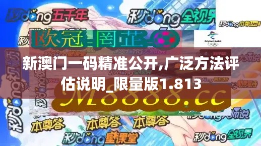 新澳門一碼精準公開,廣泛方法評估說明_限量版1.813