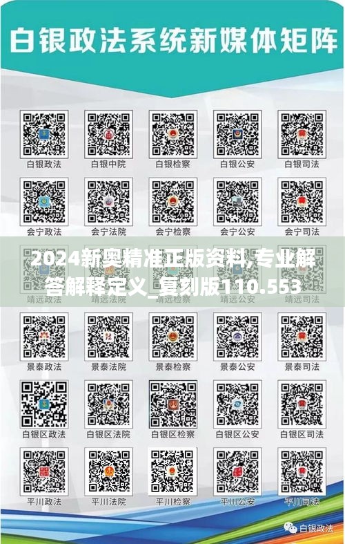 2024新奧精準正版資料,專業解答解釋定義_復刻版110.553