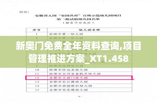 新奧門免費全年資料查詢,項目管理推進方案_XT1.458