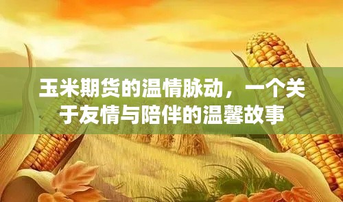 玉米期貨的溫情脈動，友情與陪伴的溫馨篇章