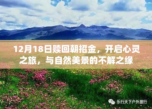 贖回朝招金，啟程心靈之旅，與自然美景的奇緣
